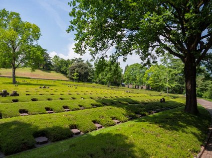 Escursioni al Lago di Garda: alla scoperta del territorio Escursioni al Lago di Garda: alla scoperta del territorio