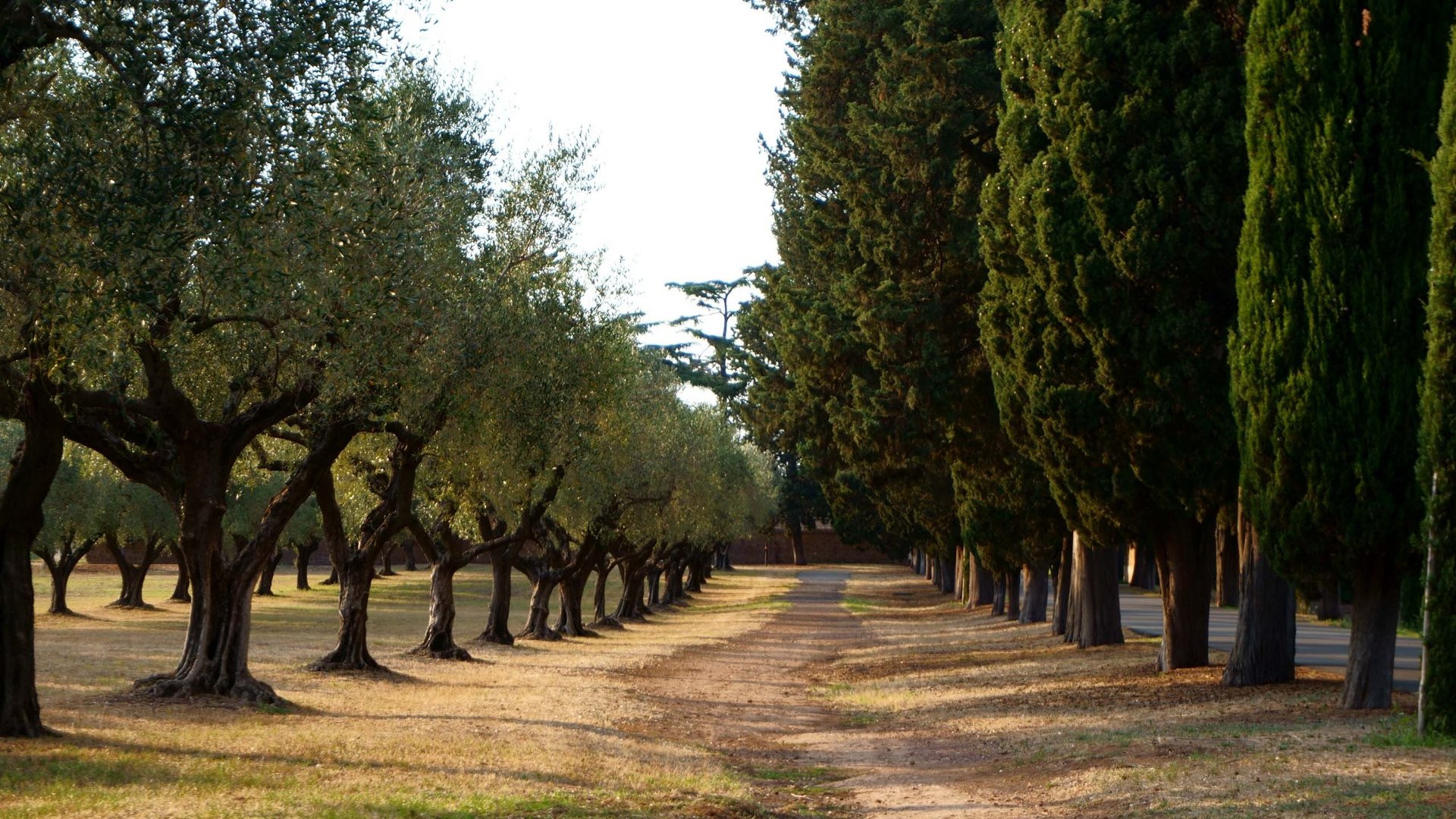 Relax sul Lago di Garda: il nostro giardino Relax sul Lago di Garda: il nostro giardino